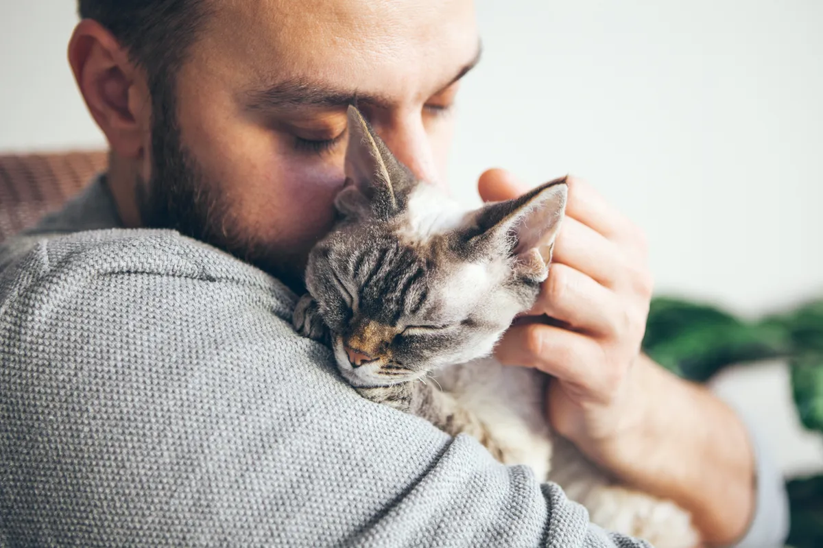 Person gently holding a cat