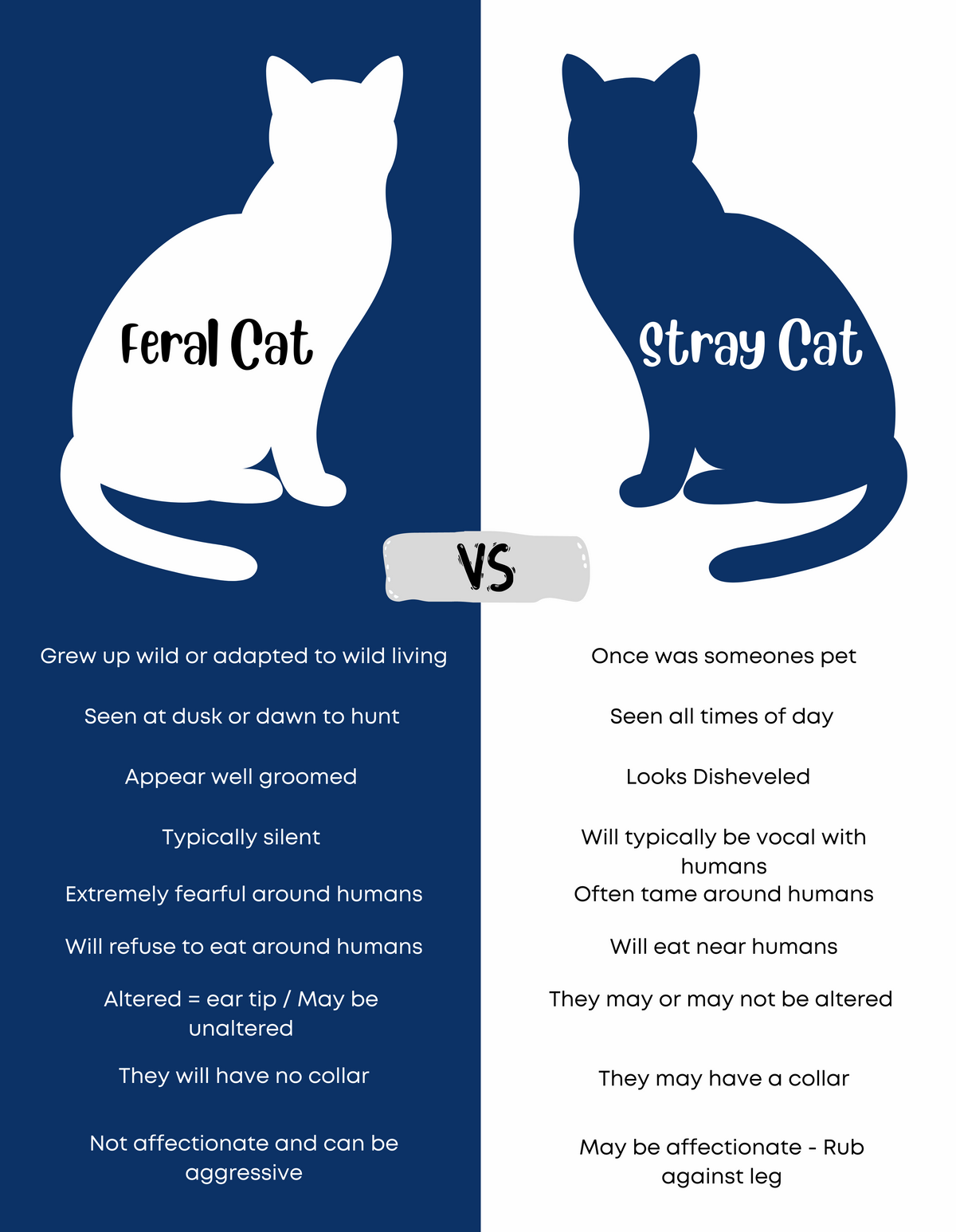 Stray and feral cat assistance guide